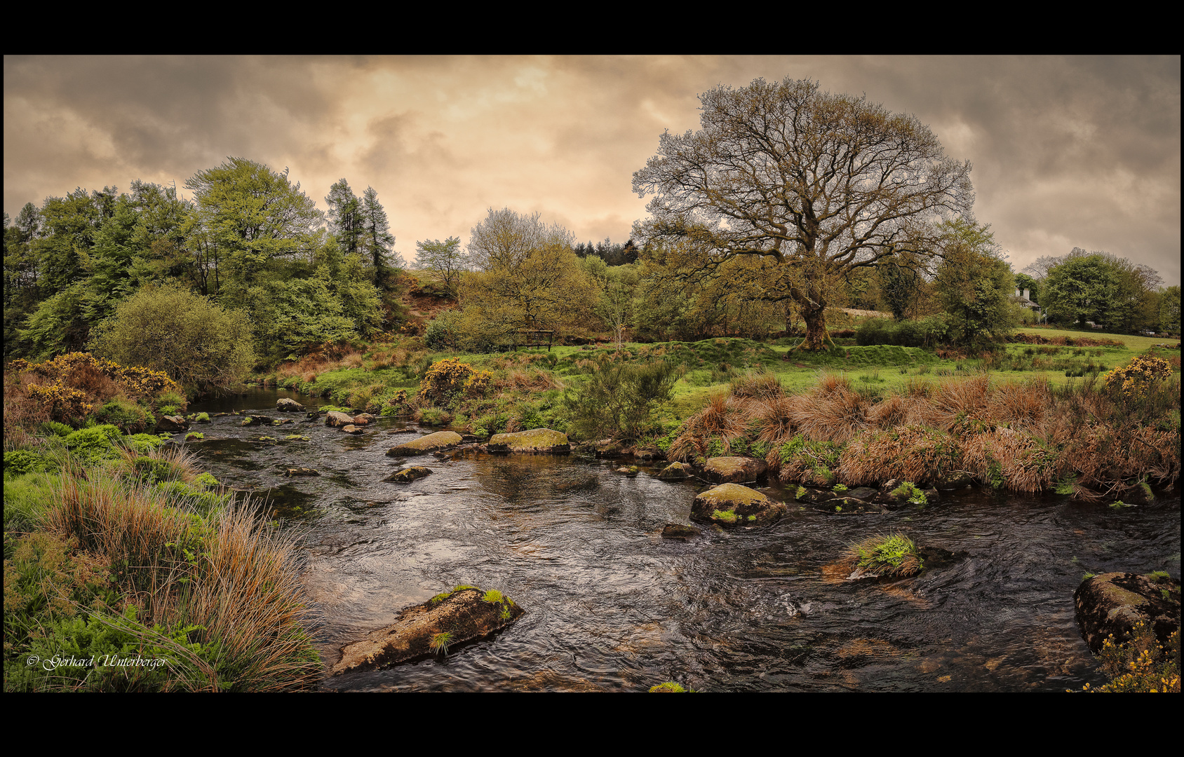 Dartmoor