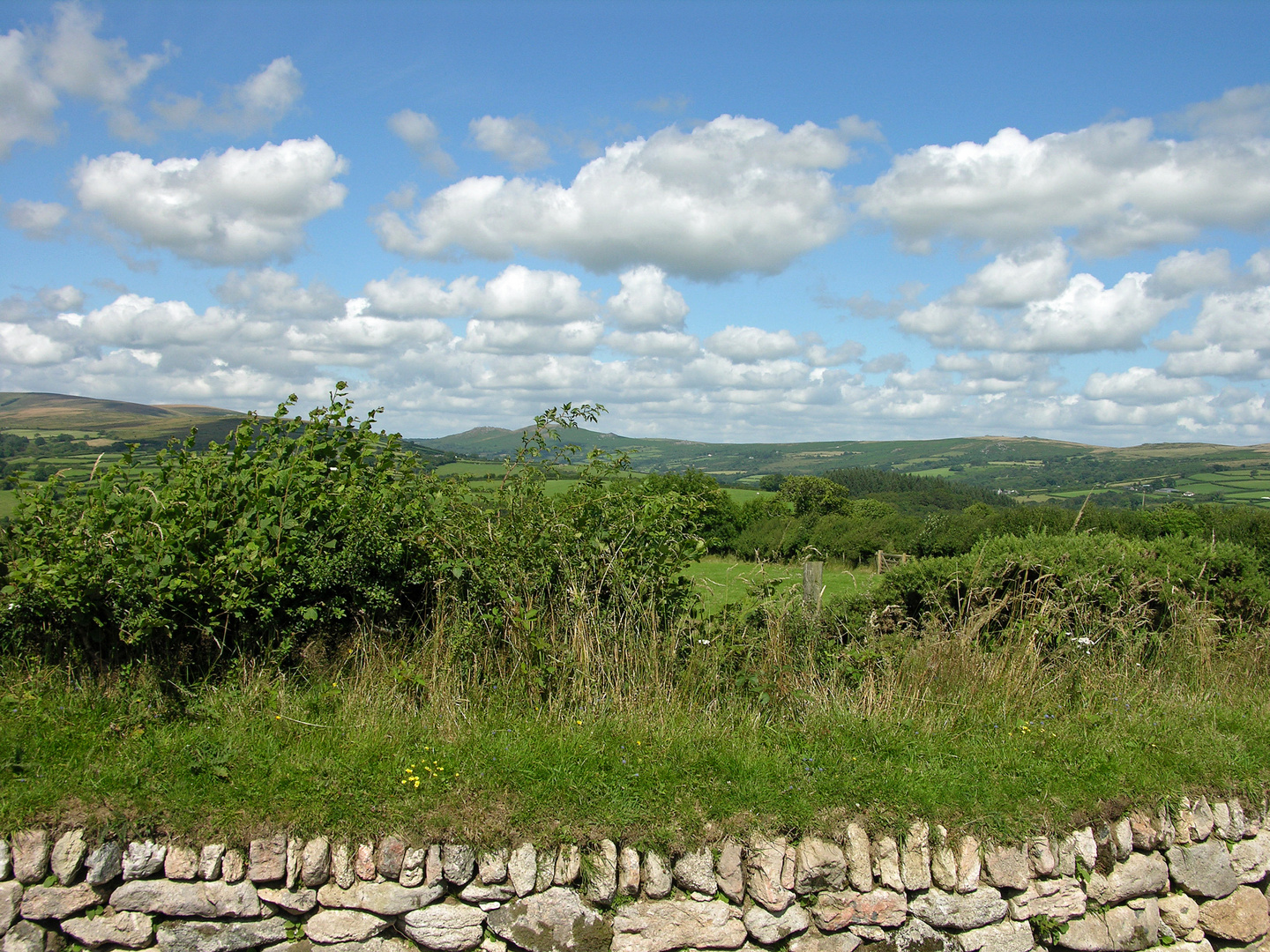 Dartmoor