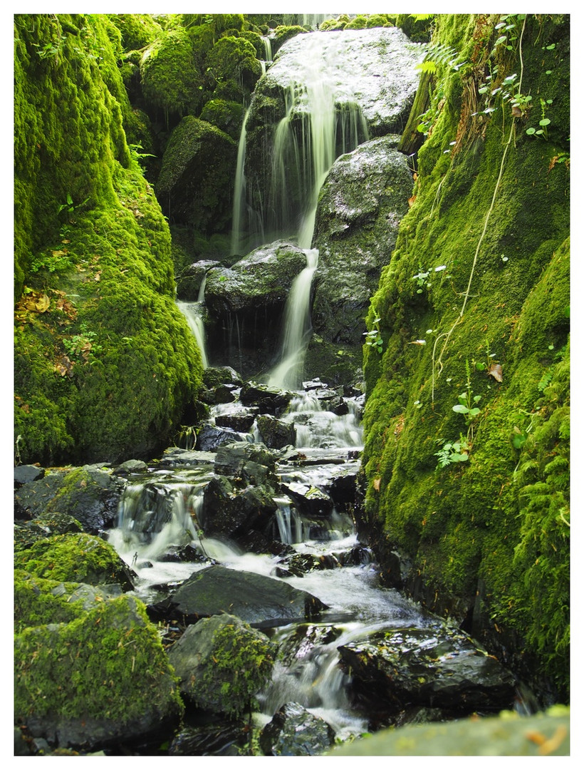 Dartmoor