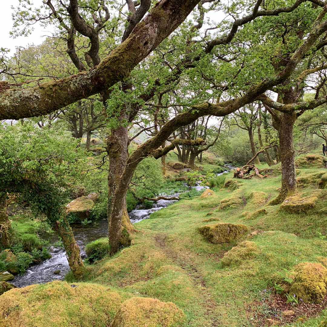 Dartmoor