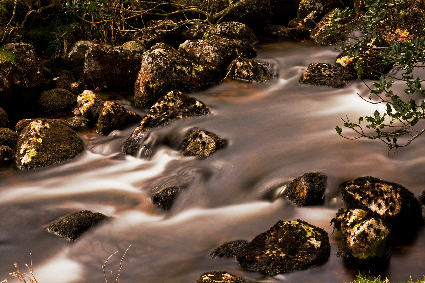 Dartmoor