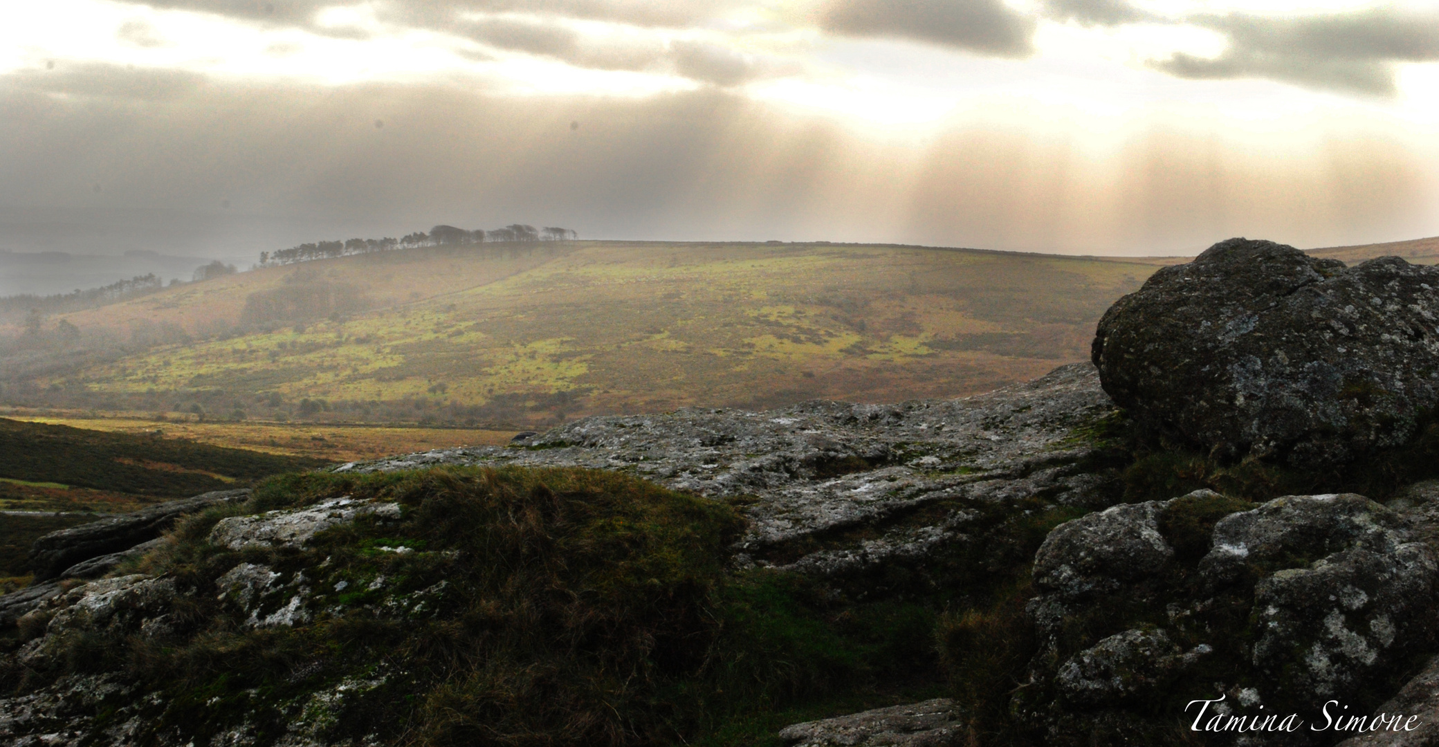 Dartmoor