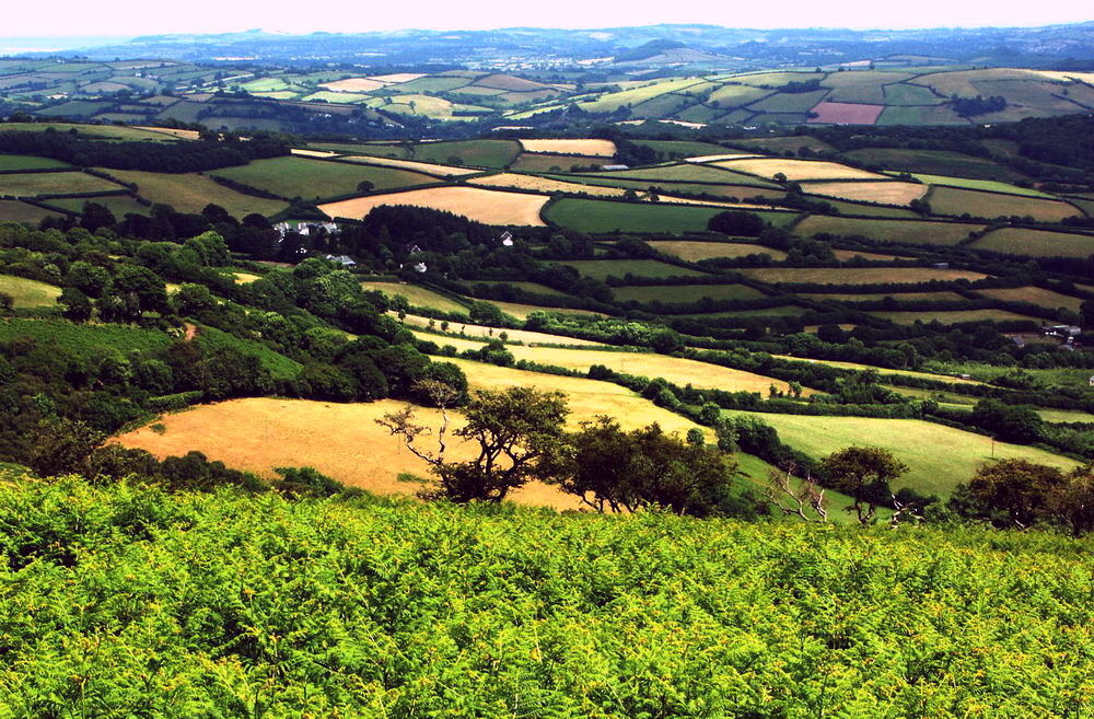 Dartmoor, Devon & ACDSee