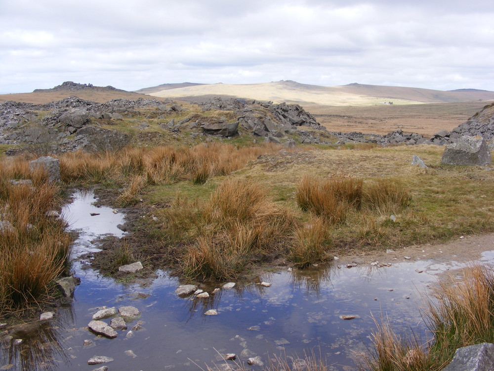 Dartmoor