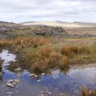 Dartmoor