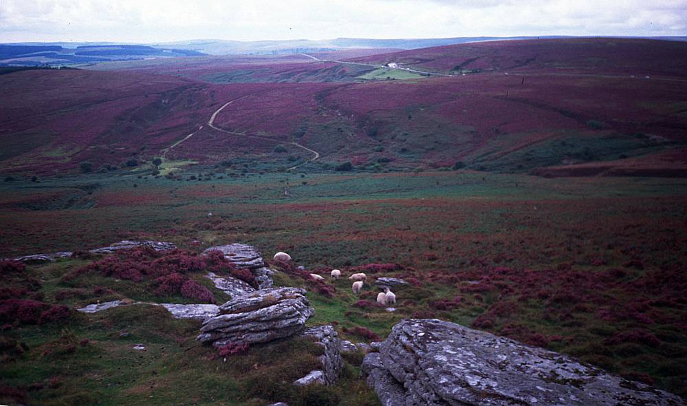 Dartmoor (England)