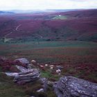 Dartmoor (England)