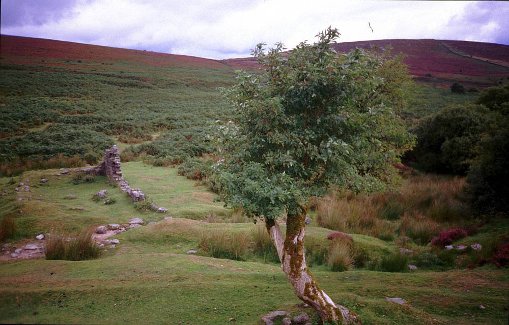 Dartmoor (England) II