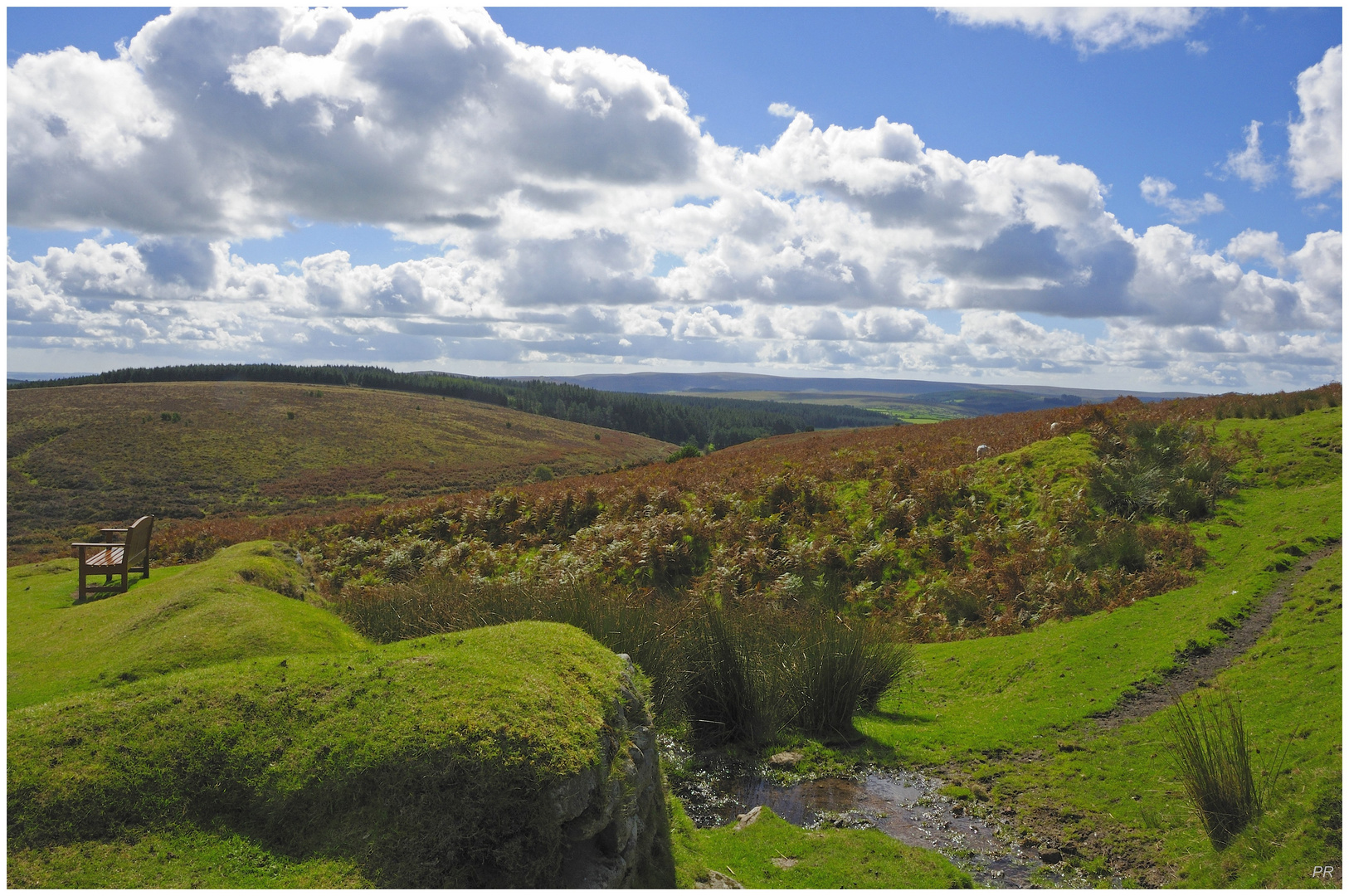 Dartmoor...