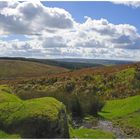 Dartmoor...