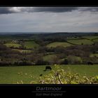 Dartmoor I