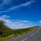 Dartmoor Landschaft