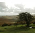 Dartmoor National Park