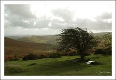 Dartmoor National Park