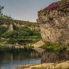 Dartmoor National Park