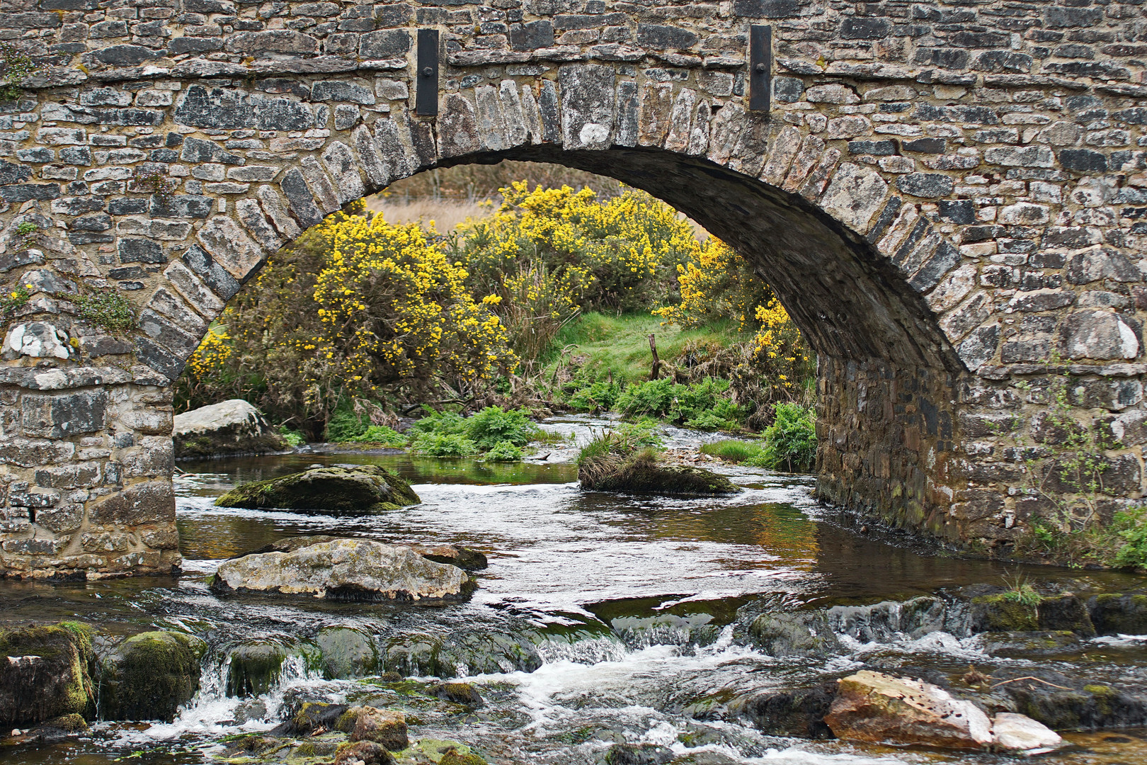 Dartmoor National Park : Clapper Bridge