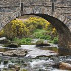 Dartmoor National Park : Clapper Bridge