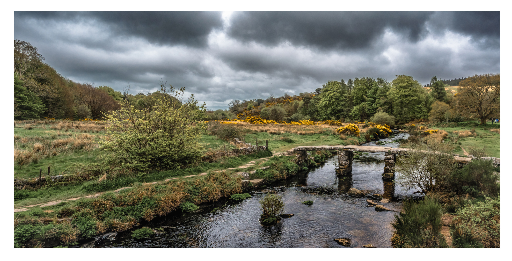 Dartmoor National Park - wo Natur noch Natur ist