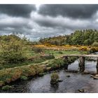 Dartmoor National Park - wo Natur noch Natur ist