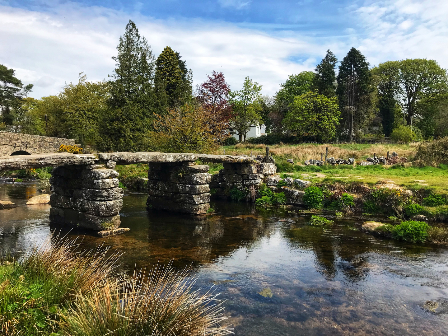 Dartmoor NP