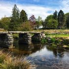 Dartmoor NP