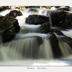 Dartmoor, River Avon