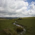 Dartmoor Stream