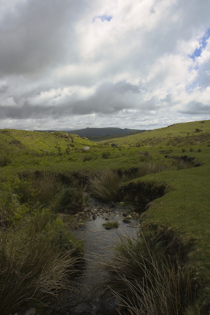 Dartmoor Tors