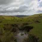 Dartmoor Tors