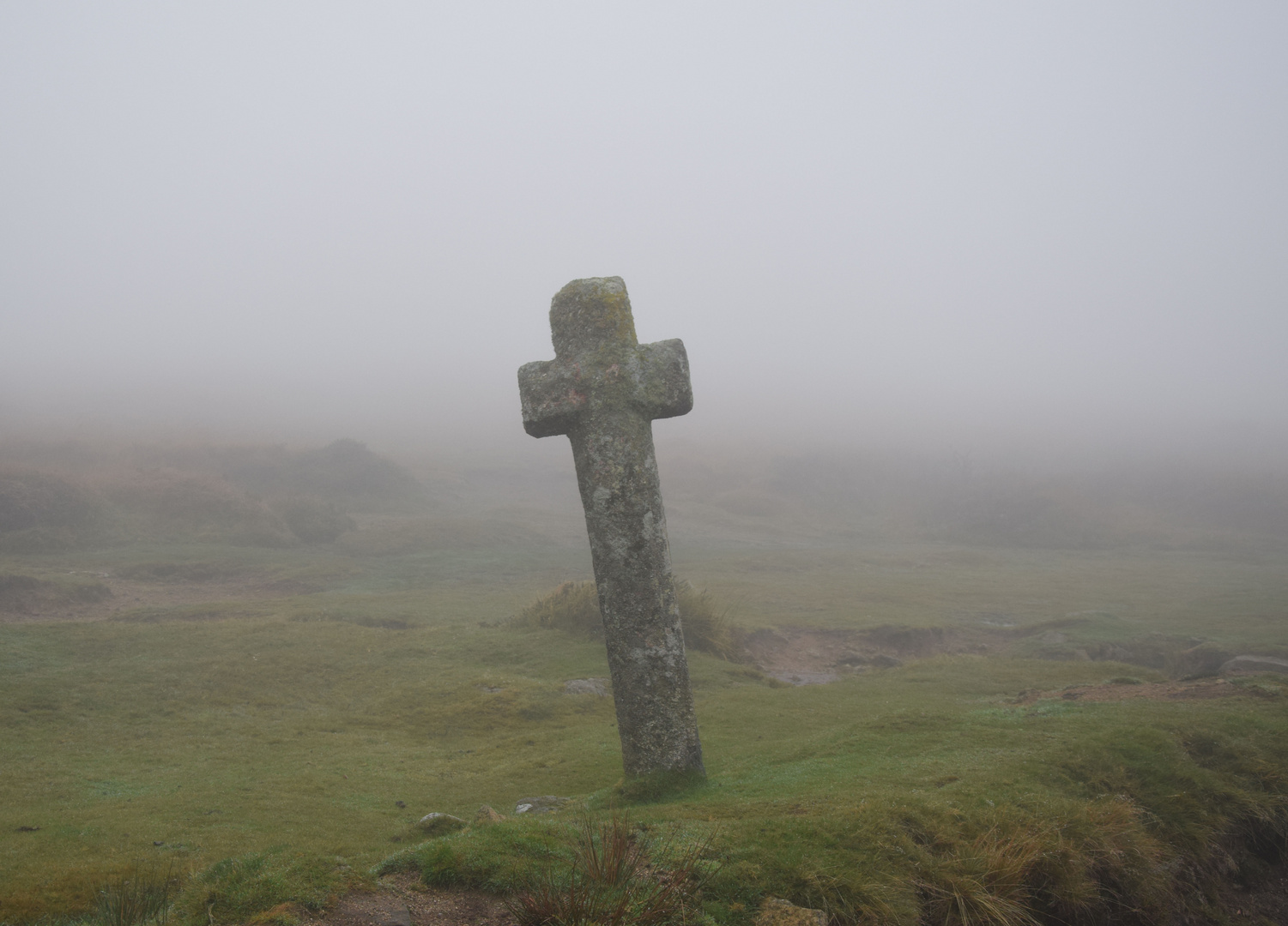 Dartmoor - Wo der Hund von Baskerville zu Hause ist