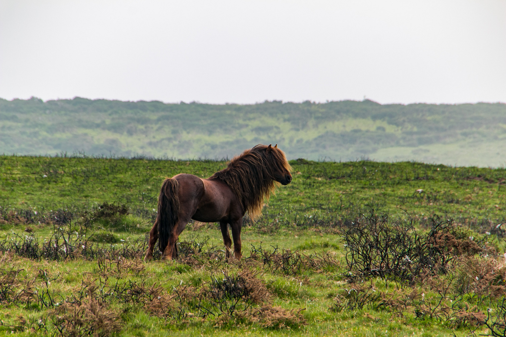 Dartmoore National Park