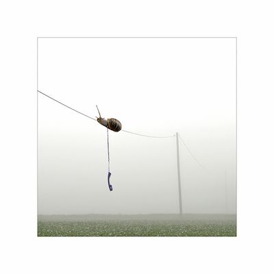 Darum! - hold the Line...