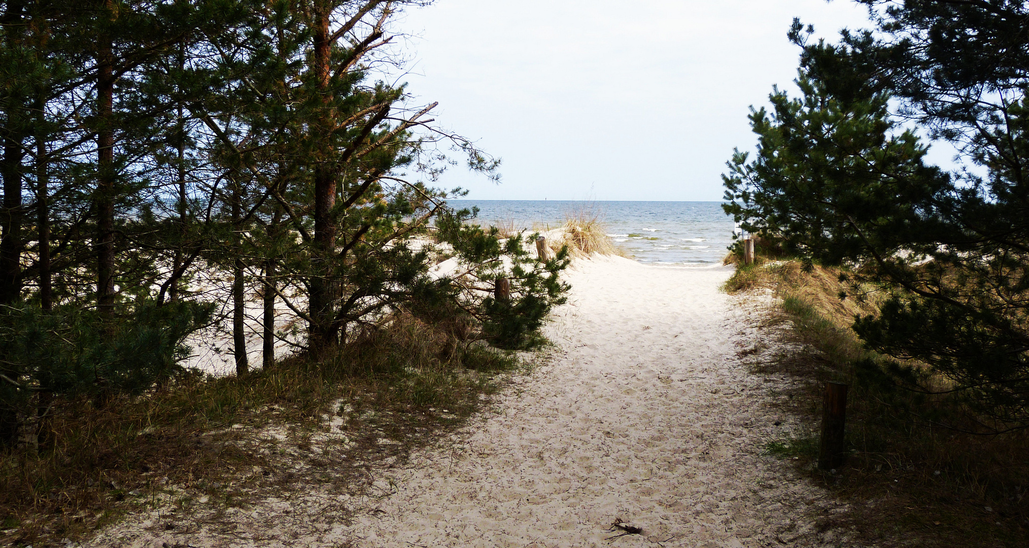 Darum ist die Insel Usedom so beliebt? 