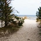 Darum ist die Insel Usedom so beliebt? 