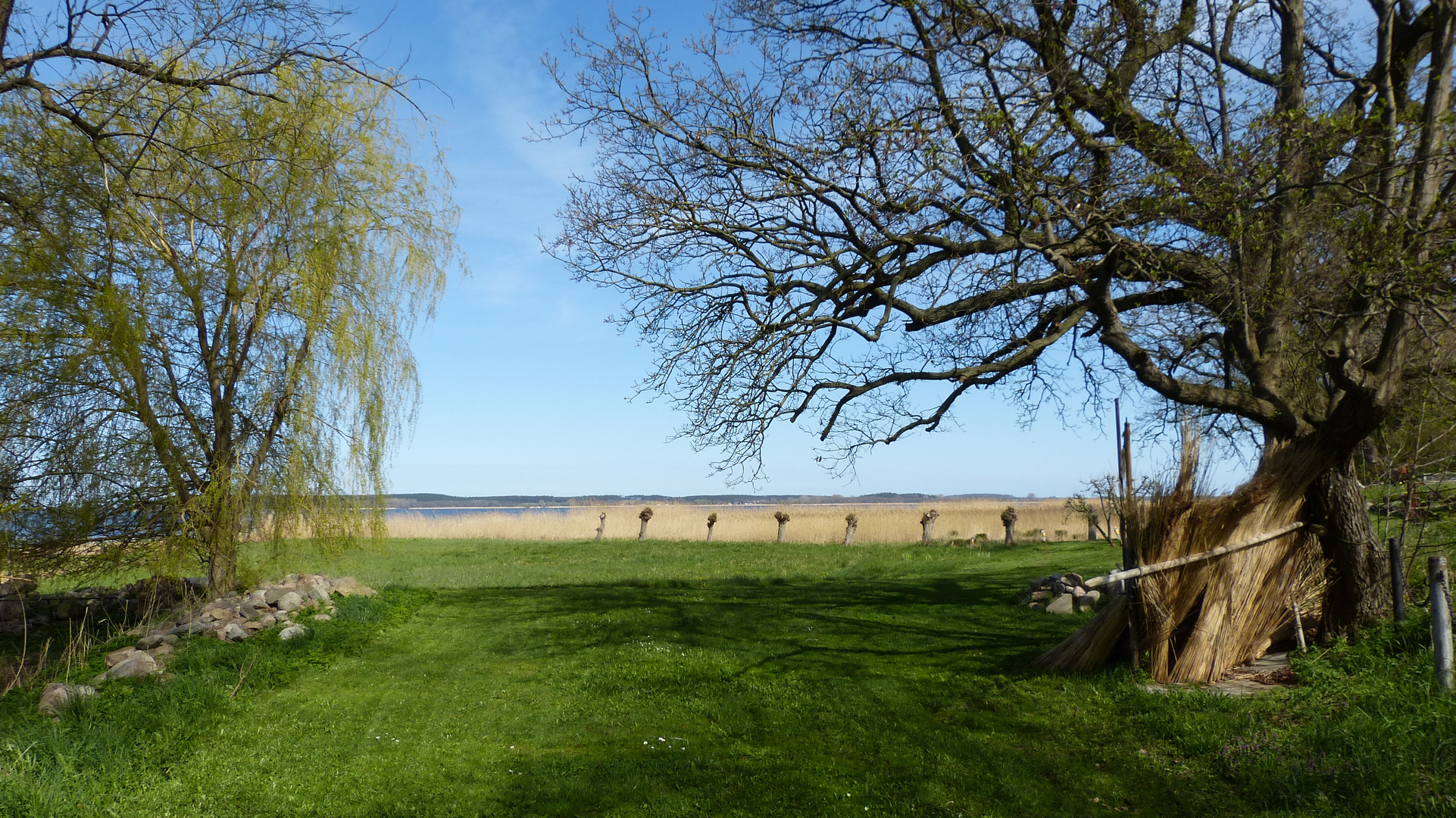 Darum ist die Insel Usedom so beliebt.  