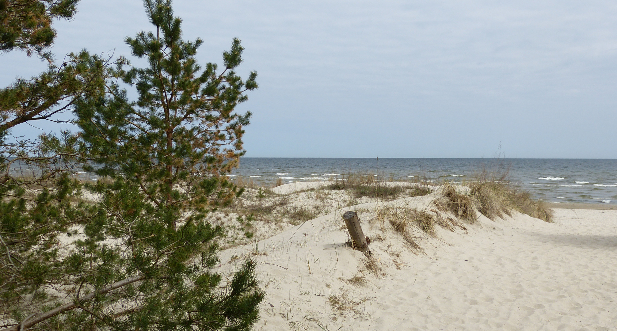 Darum ist die Insel Usedom so beliebt