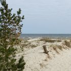 Darum ist die Insel Usedom so beliebt