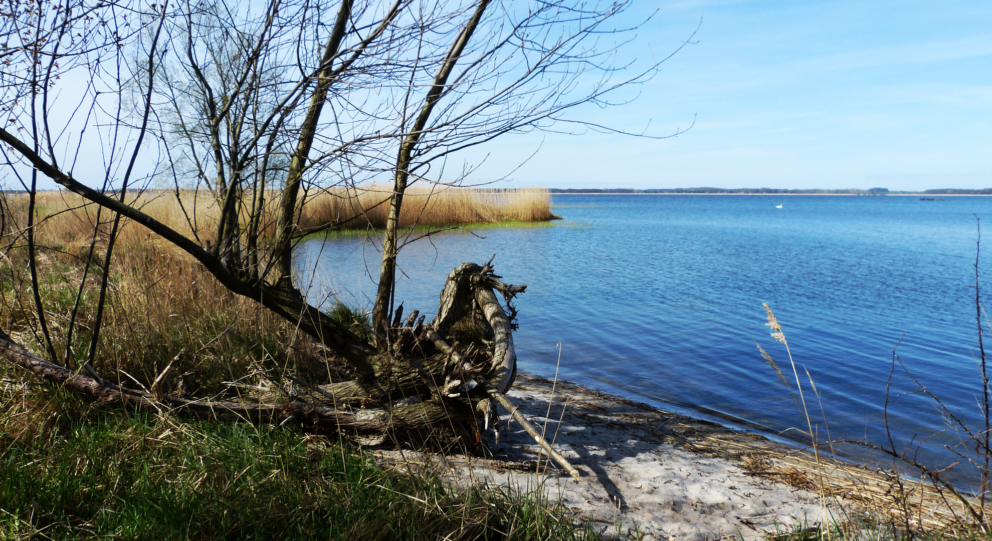 Darum ist die Insel Usedom so beliebt.