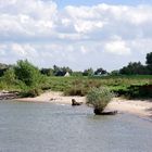 darum ist es am Rhein so schön ...