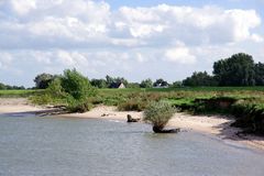 darum ist es am Rhein so schön ...