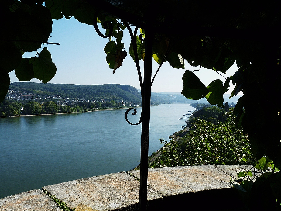 Darum ist es am Rhein so schön