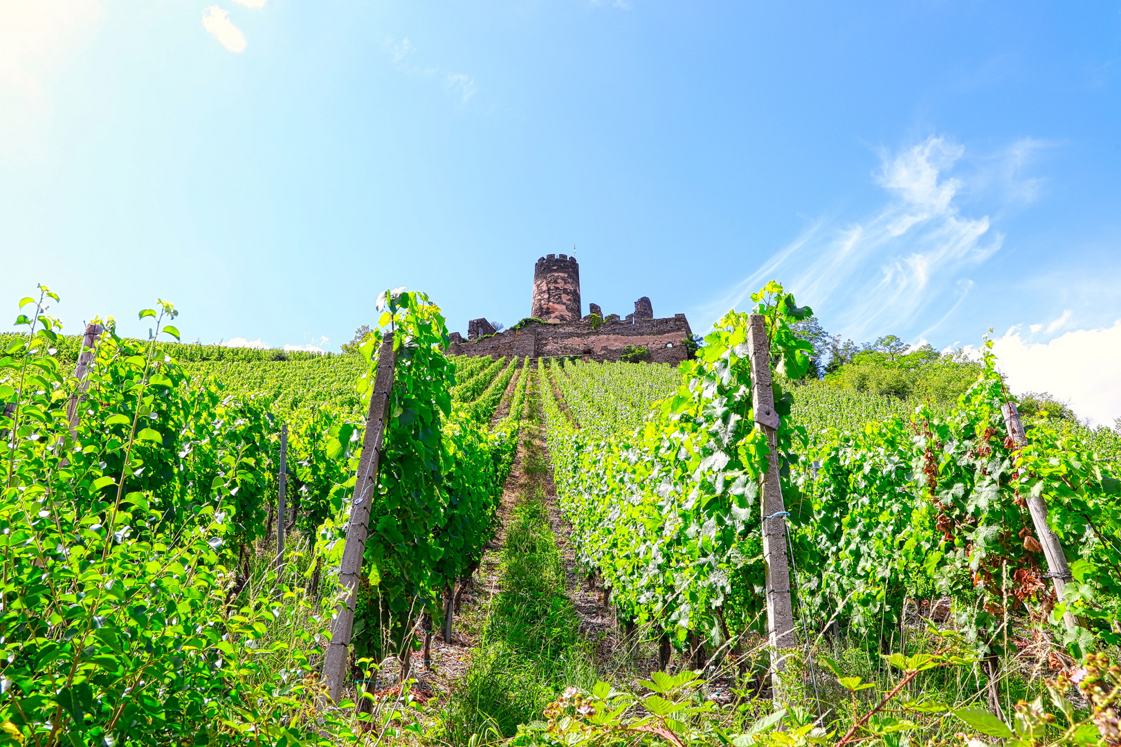 darum ist es am Rhein so schön