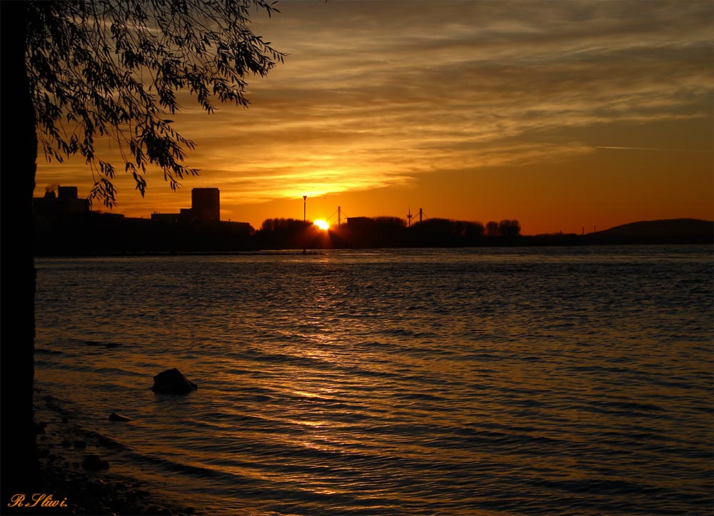 Darum ist es am Rhein so schön