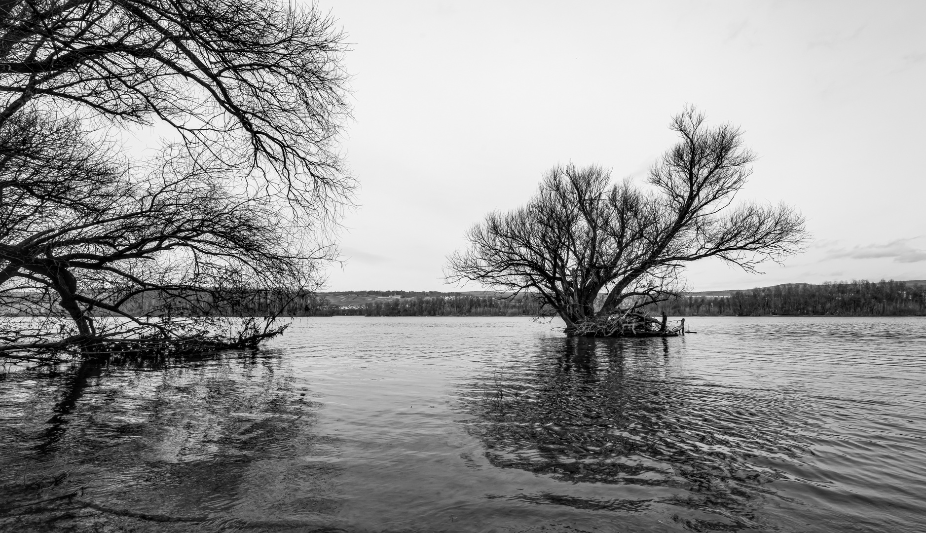 Darum ist es am Rhein so schön