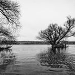 Darum ist es am Rhein so schön