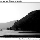 Darum ist es am Rhein so schön!