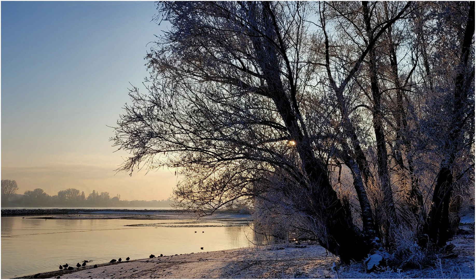 Darum ist es am Rhein so schön (XVII)