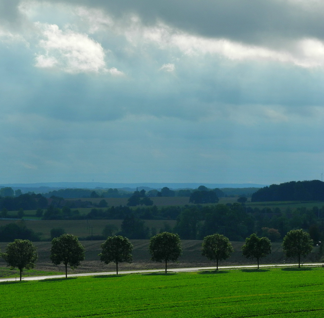 Darup nach dem Regen