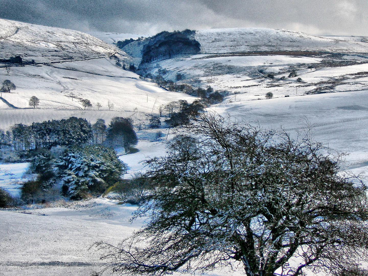 Darwen Moor from Tockholes