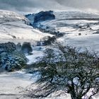 Darwen Moor from Tockholes